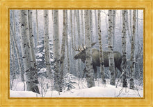 Load image into Gallery viewer, A Walk in the Woods
