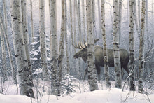 Load image into Gallery viewer, A Walk in the Woods
