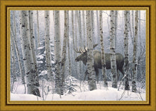 Load image into Gallery viewer, A Walk in the Woods
