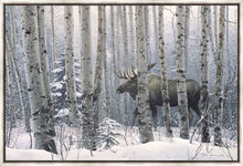 Load image into Gallery viewer, A Walk in the Woods
