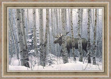 Load image into Gallery viewer, A Walk in the Woods
