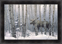 Load image into Gallery viewer, A Walk in the Woods
