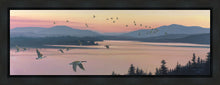 Load image into Gallery viewer, Sounds of Sunset
