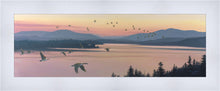 Load image into Gallery viewer, Sounds of Sunset
