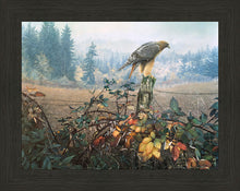 Load image into Gallery viewer, The Raptor's Watch
