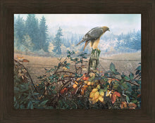 Load image into Gallery viewer, The Raptor's Watch
