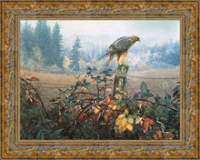 Load image into Gallery viewer, The Raptor's Watch
