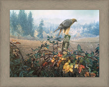 Load image into Gallery viewer, The Raptor's Watch
