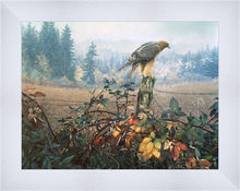 Load image into Gallery viewer, The Raptor's Watch
