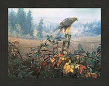 Load image into Gallery viewer, The Raptor's Watch
