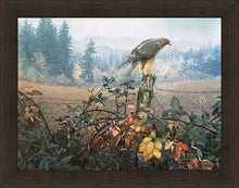 Load image into Gallery viewer, The Raptor's Watch
