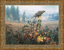 Load image into Gallery viewer, The Raptor's Watch
