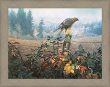 Load image into Gallery viewer, The Raptor's Watch
