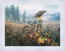 Load image into Gallery viewer, The Raptor's Watch
