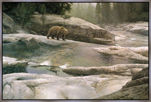 Load image into Gallery viewer, Uzumati - Great Bear of Yosemite
