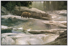 Load image into Gallery viewer, Uzumati - Great Bear of Yosemite
