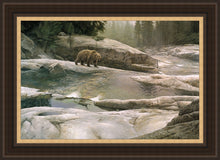 Load image into Gallery viewer, Uzumati - Great Bear of Yosemite
