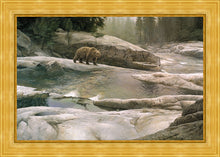 Load image into Gallery viewer, Uzumati - Great Bear of Yosemite
