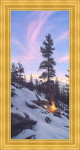 Load image into Gallery viewer, Firedance
