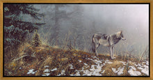 Load image into Gallery viewer, Silent Snows
