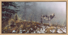 Load image into Gallery viewer, Silent Snows
