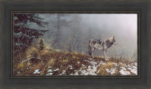 Load image into Gallery viewer, Silent Snows
