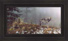 Load image into Gallery viewer, Silent Snows
