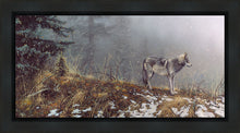 Load image into Gallery viewer, Silent Snows
