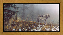 Load image into Gallery viewer, Silent Snows

