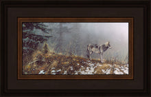 Load image into Gallery viewer, Silent Snows
