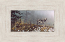 Load image into Gallery viewer, Silent Snows

