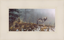 Load image into Gallery viewer, Silent Snows
