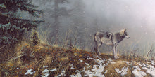 Load image into Gallery viewer, Silent Snows
