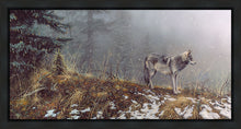 Load image into Gallery viewer, Silent Snows
