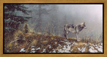 Load image into Gallery viewer, Silent Snows
