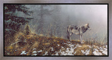 Load image into Gallery viewer, Silent Snows
