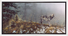 Load image into Gallery viewer, Silent Snows
