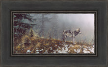 Load image into Gallery viewer, Silent Snows
