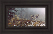 Load image into Gallery viewer, Silent Snows
