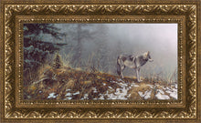 Load image into Gallery viewer, Silent Snows
