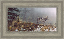Load image into Gallery viewer, Silent Snows
