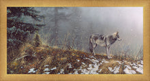 Load image into Gallery viewer, Silent Snows
