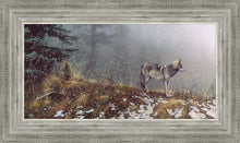 Load image into Gallery viewer, Silent Snows
