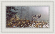 Load image into Gallery viewer, Silent Snows
