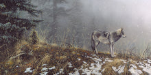Load image into Gallery viewer, Silent Snows
