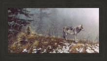 Load image into Gallery viewer, Silent Snows

