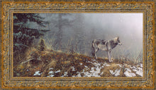Load image into Gallery viewer, Silent Snows
