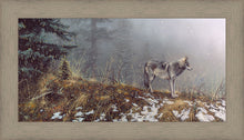 Load image into Gallery viewer, Silent Snows
