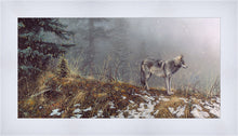 Load image into Gallery viewer, Silent Snows

