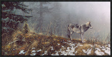 Load image into Gallery viewer, Silent Snows
